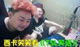 林恩大哥爆料视频在线观看,揭秘幕后真相，带你走进事件核心