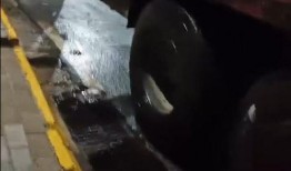 礼泉县爆料新闻最新,最新爆料揭示惊人真相