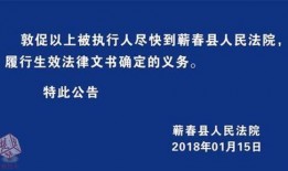 蕲春论坛爆料新闻,揭秘背后惊人真相！