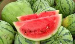 每日推荐网红吃瓜,每日推荐，揭秘娱乐圈幕后故事