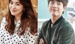 桉氏夫妇爆料新闻视频,揭秘新闻背后惊人内幕