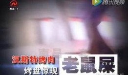 紧急扩散爆料视频,紧急扩散！揭秘爆料视频背后的惊人真相