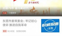 东莞新闻投稿爆料网站,聚焦城市脉搏，共绘发展新篇