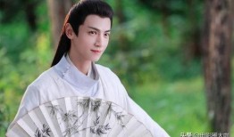 大锤爆料罗云熙视频,大锤爆料背后的故事揭秘