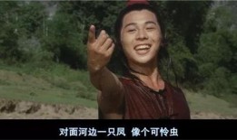 少林小子最新爆料,揭秘幕后故事与精彩瞬间