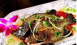 海鱼蚝油爆料方法视频讲解,视频详解，轻松掌握美味秘诀