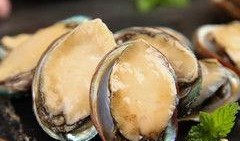 鲍鱼最新爆料图片高清,高清视角下的奢华美食魅力