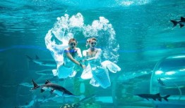 水底世界爆料视频,揭秘神秘水世界爆料视频