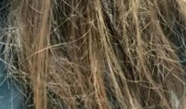 卷发棒爆料视频,揭秘网红卷发棒的秘密与使用技巧