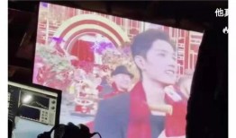 北京网红爆料视频播放,揭秘热门话题背后的真相