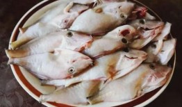 海鱼蚝油爆料方法视频讲解,视频详解，轻松掌握美味秘诀