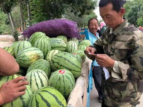 我去吃瓜,跟随“吃瓜群众”探寻明星幕后故事